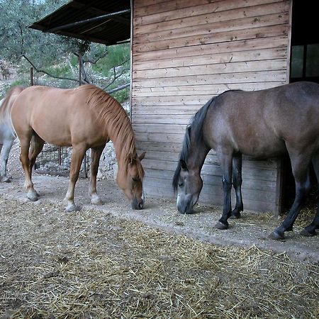 קאמפלו סול קליטונו Agriturismo Istrice Innamorato מראה חיצוני תמונה