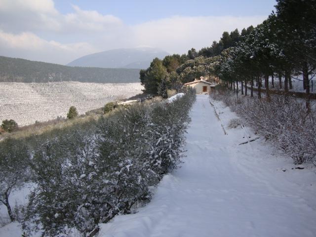 קאמפלו סול קליטונו Agriturismo Istrice Innamorato מראה חיצוני תמונה